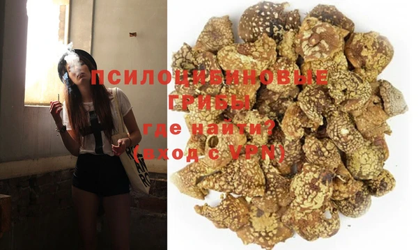 гашик Балабаново