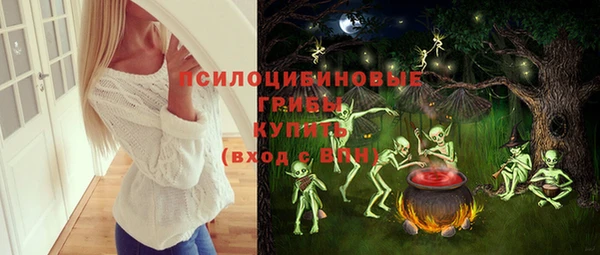 гашик Балабаново