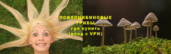 спиды Саяногорск