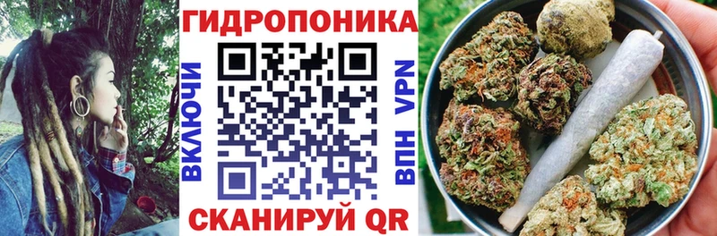 Бошки Шишки планчик Горячий Ключ